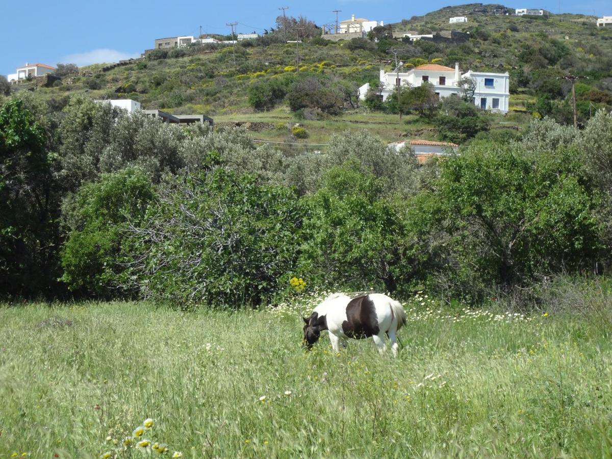 House In The Grass Land. Villa Ormos  Eksteriør bilde